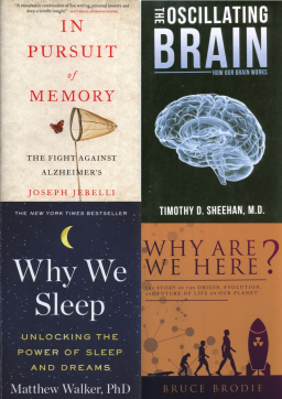 CIZOJAZYČNÁ LITERATURA