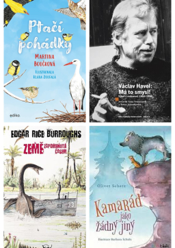 TIPY KNIHOVNÍKŮ VOLNÉHO VÝBĚRU