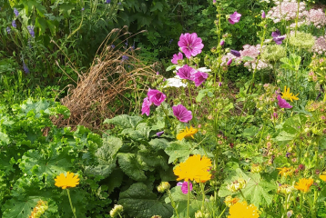 3+1 o zahradničení aneb jak na záhony bez rytí