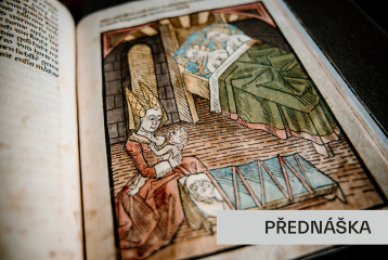 Meluzína ve středověké literatuře a společnosti