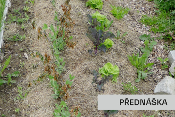 3+1 o zahradničení aneb jak omezit plevel bez chemie a zbytečné dřiny