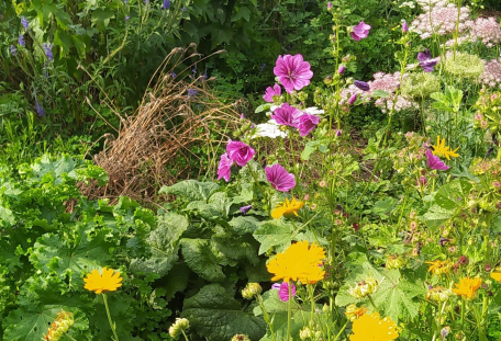 3+1 o zahradničení aneb jak na záhony bez rytí