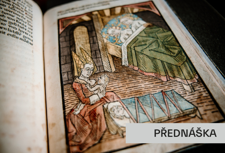 Meluzína ve středověké literatuře a společnosti